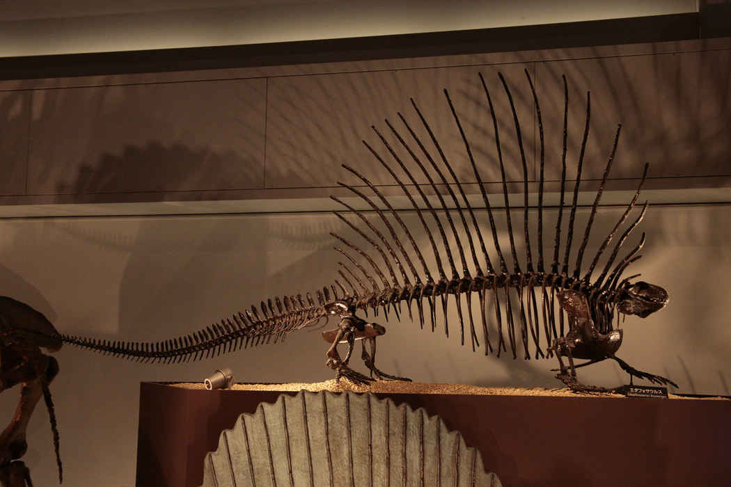 画像表示 常設展示データベース