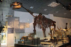 代表画像