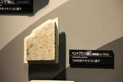 代表画像