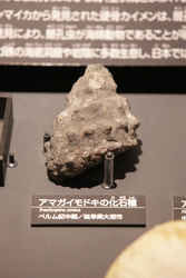 代表画像