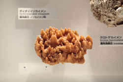代表画像