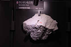 代表画像