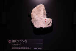 詳細(燐灰ウラン石) | 常設展示データベース