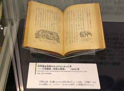 代表画像