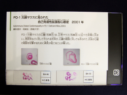 代表画像